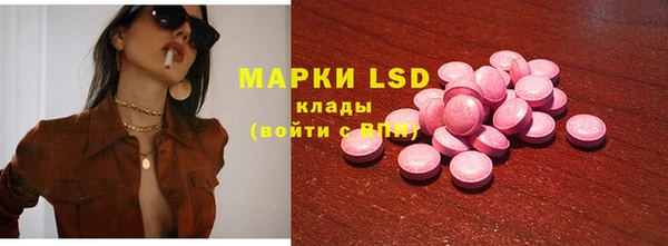 spice Гусев