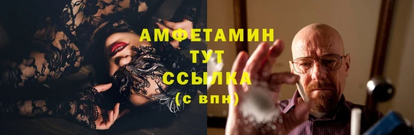 прущие грибы Гусь-Хрустальный