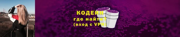 прущие грибы Гусь-Хрустальный