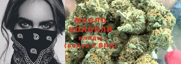 spice Гусев