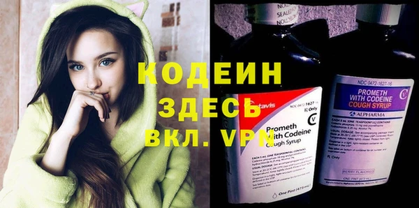 spice Гусев