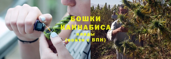 прущая мука Гусиноозёрск