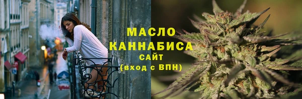 spice Гусев