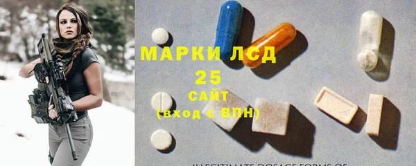 шишки Дмитровск