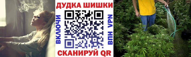 Канабис планчик  Купить закладки  Отрадная 